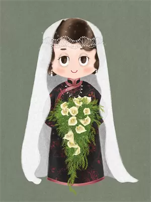 失忆认错夫君